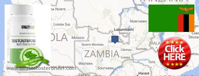 Où Acheter Testosterone en ligne Zambia